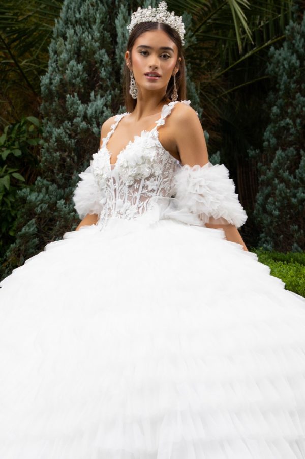Long Ball Gown 3D Applique Detachable Sleeve Quinceanera Dress