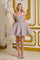 Short Homecoming A Line Glitter Sequin Prom Dress Silver