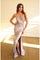 Prom Dresses Long Formal Prom Pleated Dress Silver