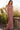 Prom Dresses Formal Long Mermaid Prom Dress Bronze