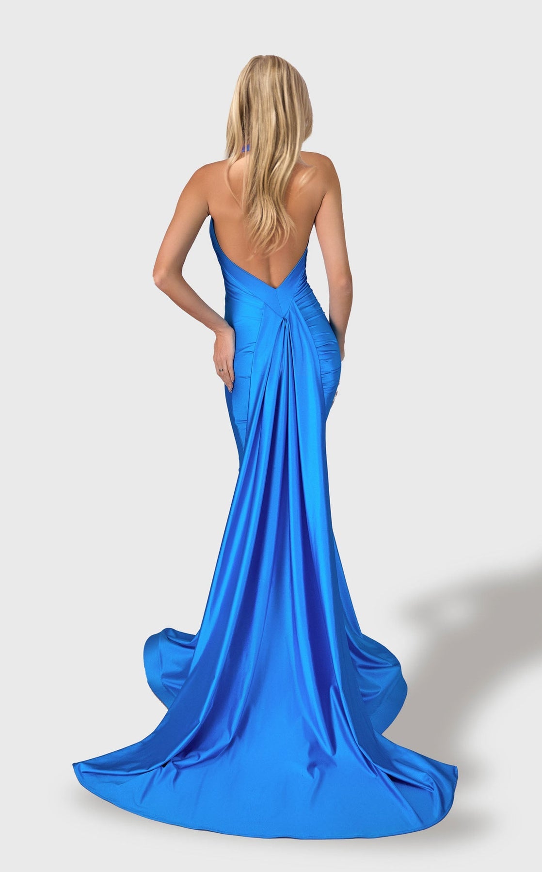 Prom Dresses Long Formal Fitted Prom Dress Royal