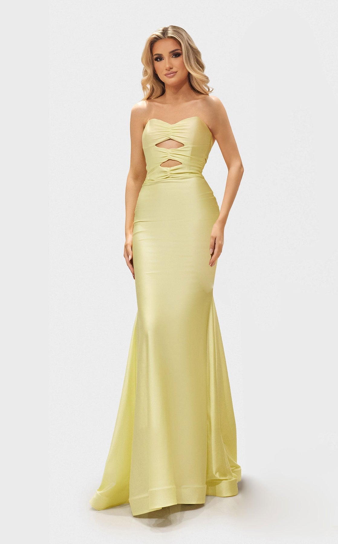 Prom Dresses Formal Evening Fitted Long Prom Dress Pale Yellow