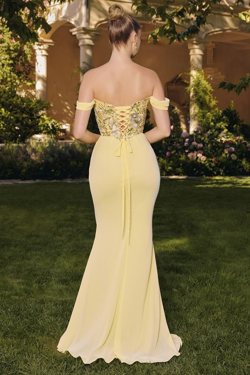 Prom Dresses Mermaid Long Formal Floral Prom Dress Light Yellow-Chiffon-T721-Corset