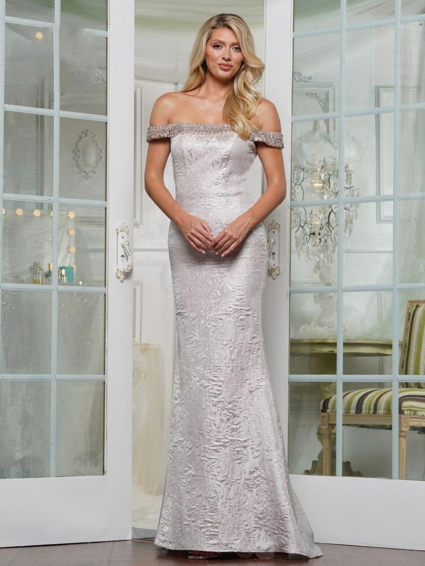 Formal Dresses Long Fitted Formal Dress Silver