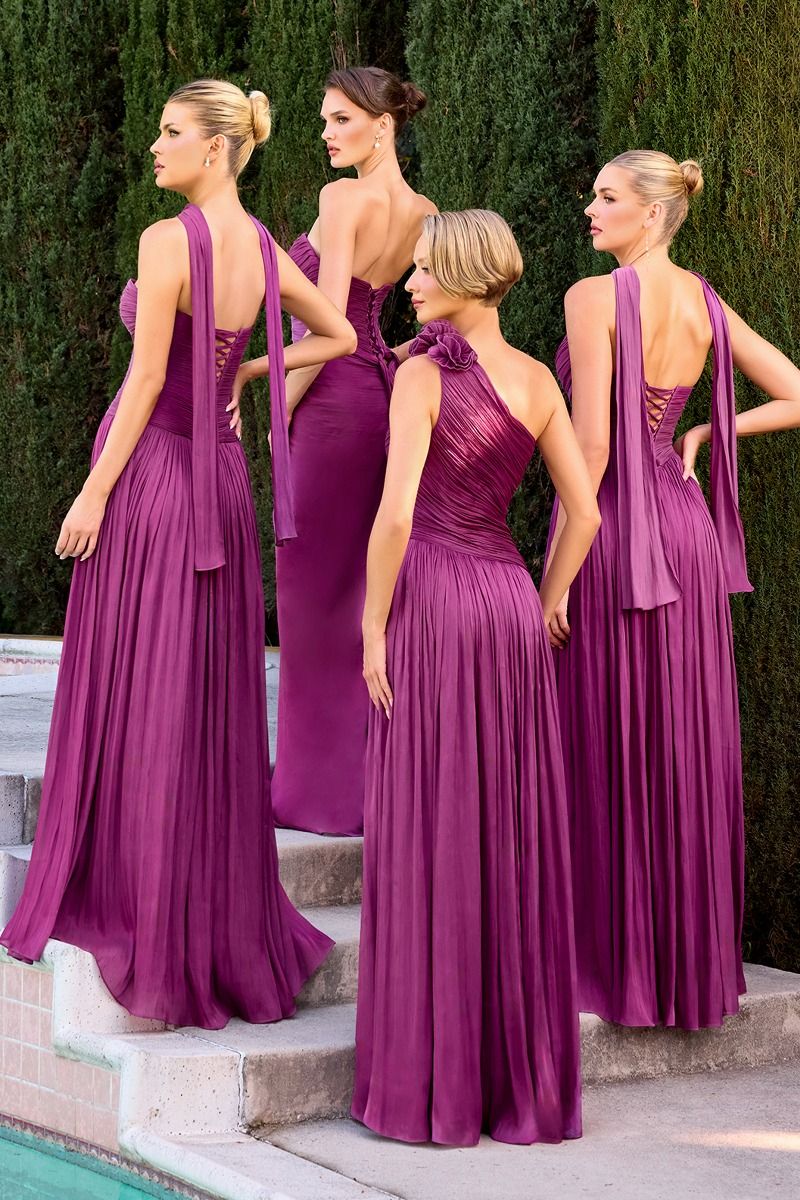 Prom Dresses Fitted Pleated Long Formal Prom Dress Mulberry-Chiffon-CD411-Pleated