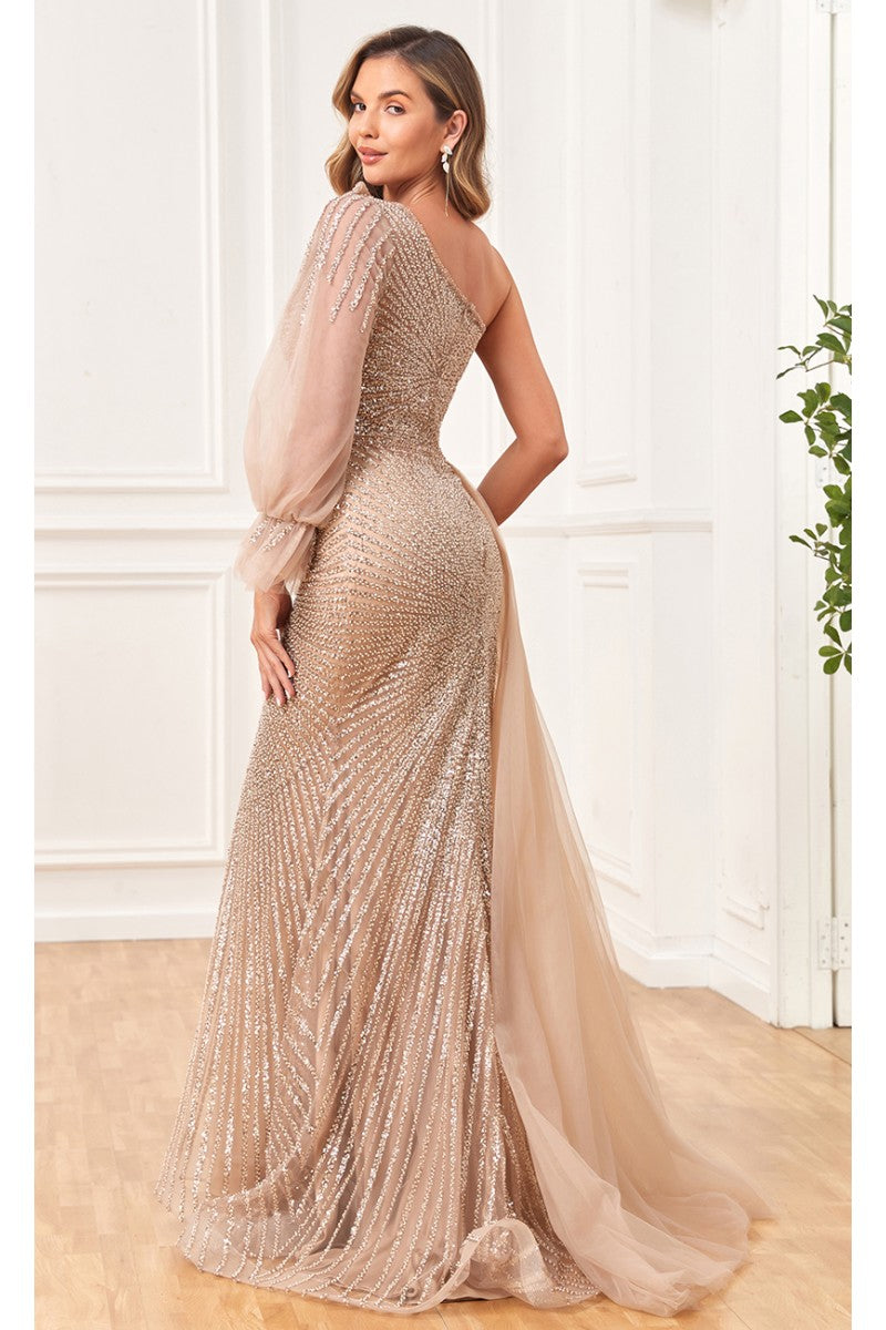 Formal Dresses Sequin Long Beaded Formal Evening Dress Gold