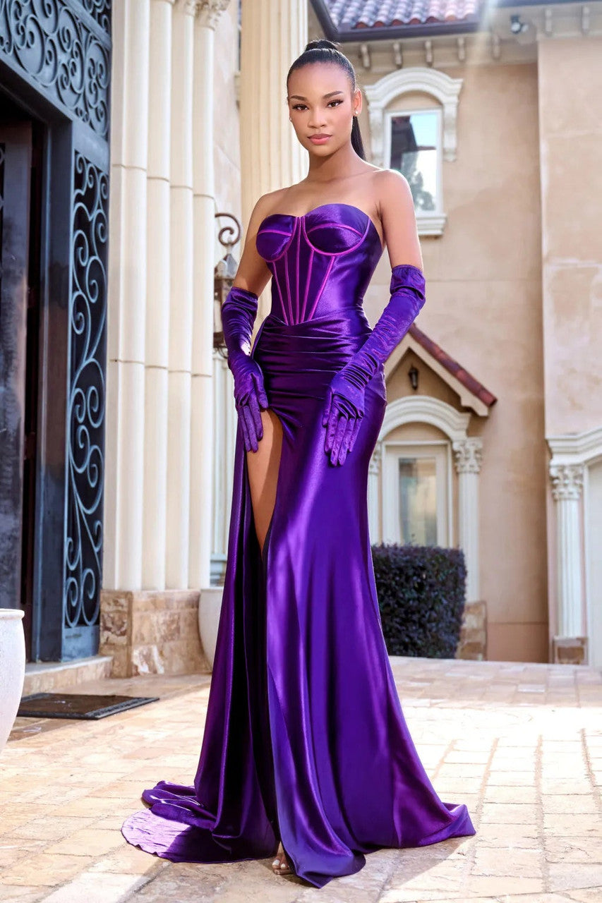Prom Dresses Prom Fitted Long Formal Corset Evening Dress Purple