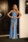 Portia and Scarlett PS24622 Fitted Long Formal Prom Feather Dress