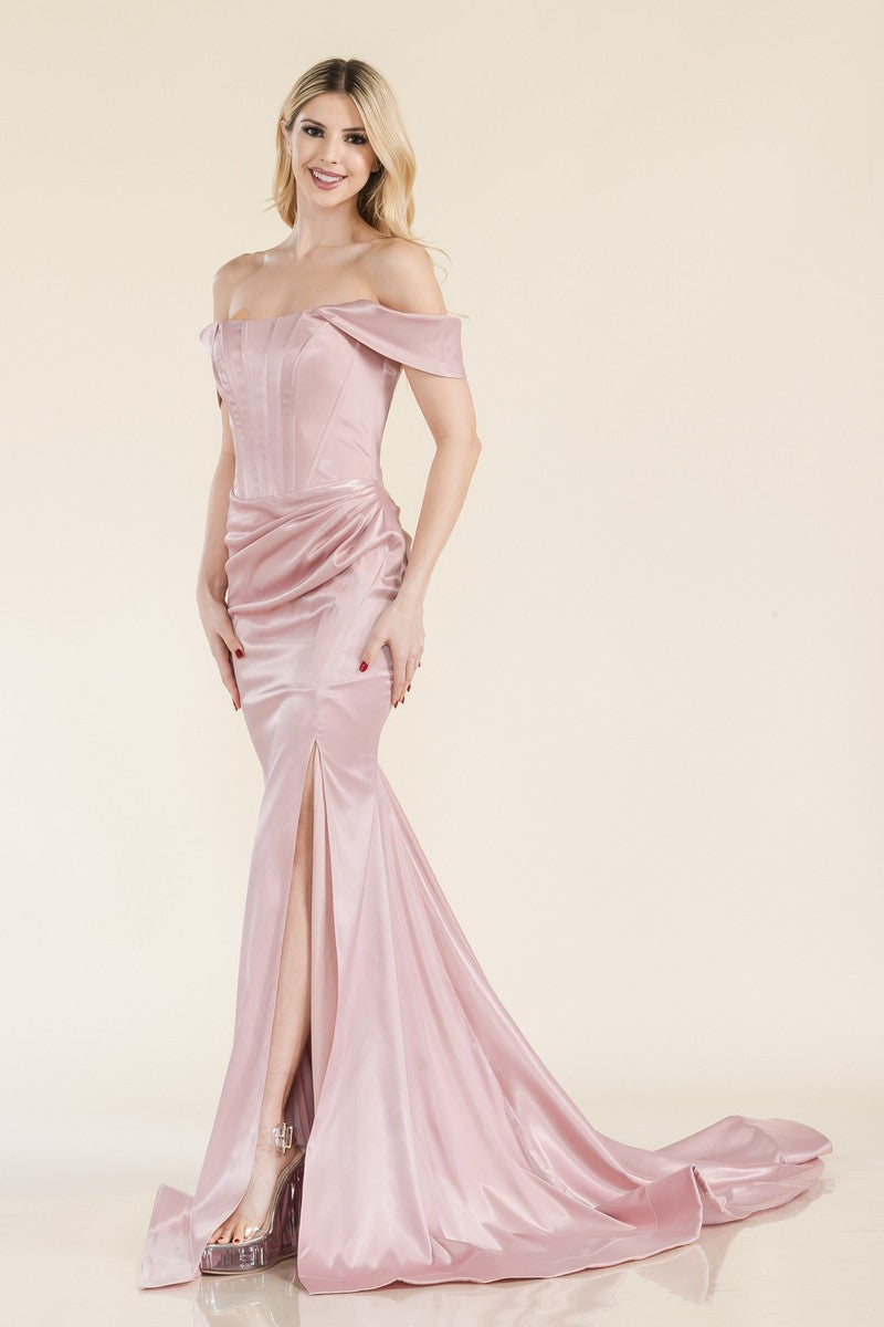 Prom Dresses Long Fitted Formal Prom Dress Mauve