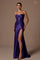 Prom Dresses Long Slit Fitted Prom Dress  Plum