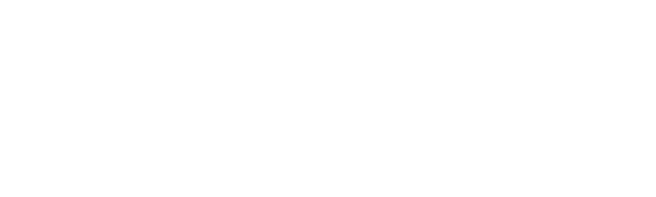 the dress outlet Shop logo