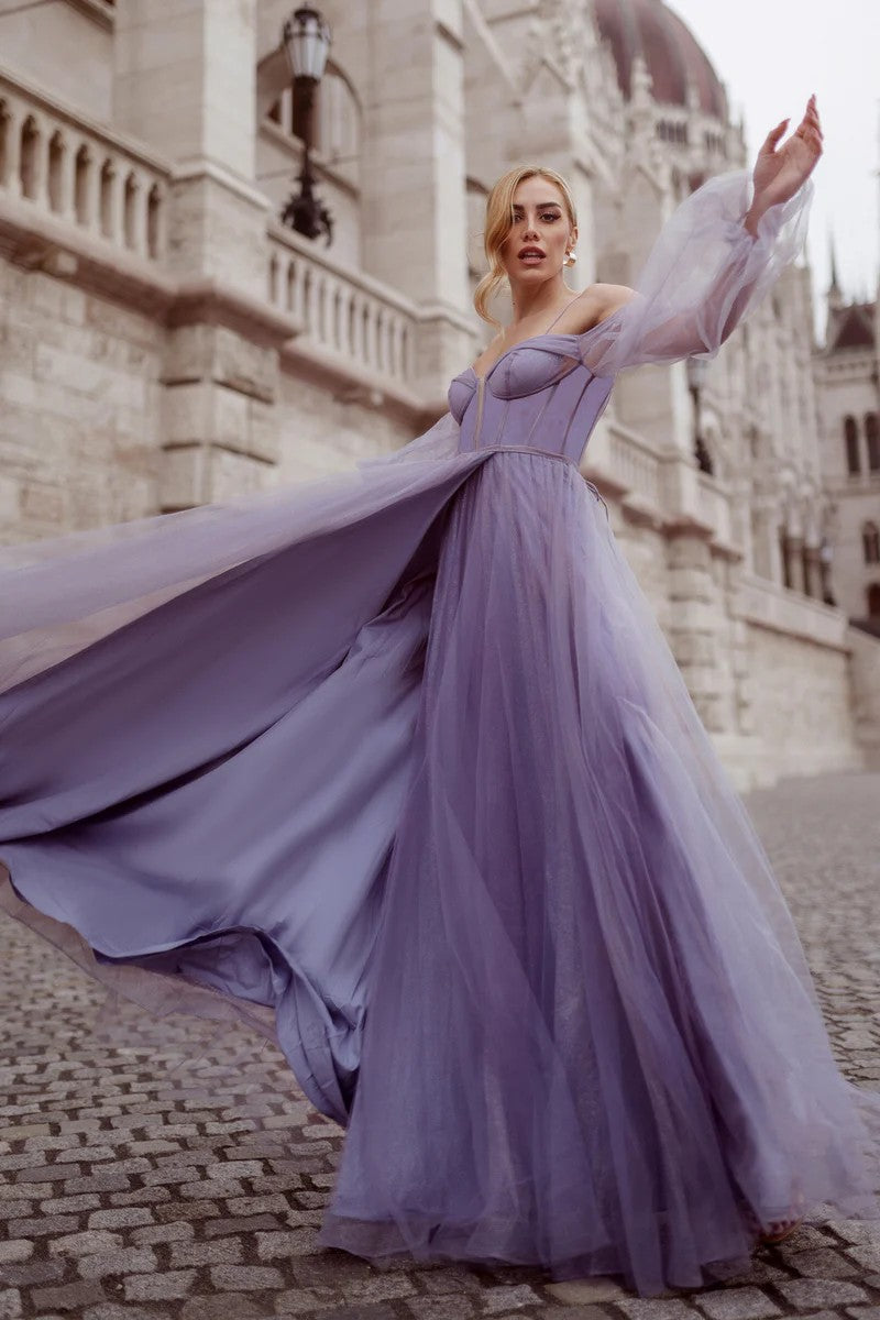 Tina Holly TK130 Long A Line Ball Gown Formal Prom Dress