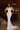 Wedding Dresses Long Pearl Sequin Wedding Dress White/Ivory