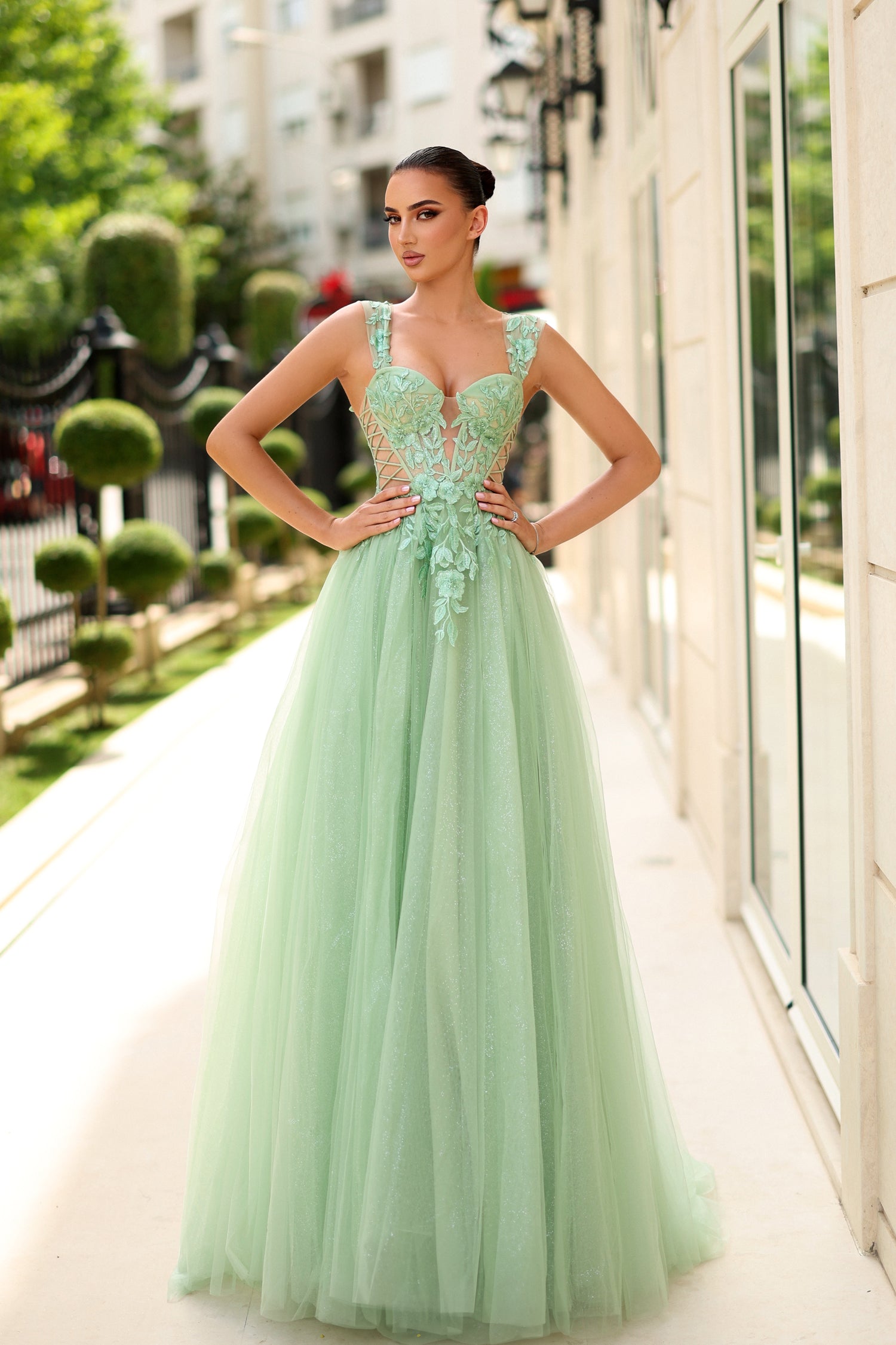 Tina Holly TW500 Long Formal Lace Applique A Line Prom Dress