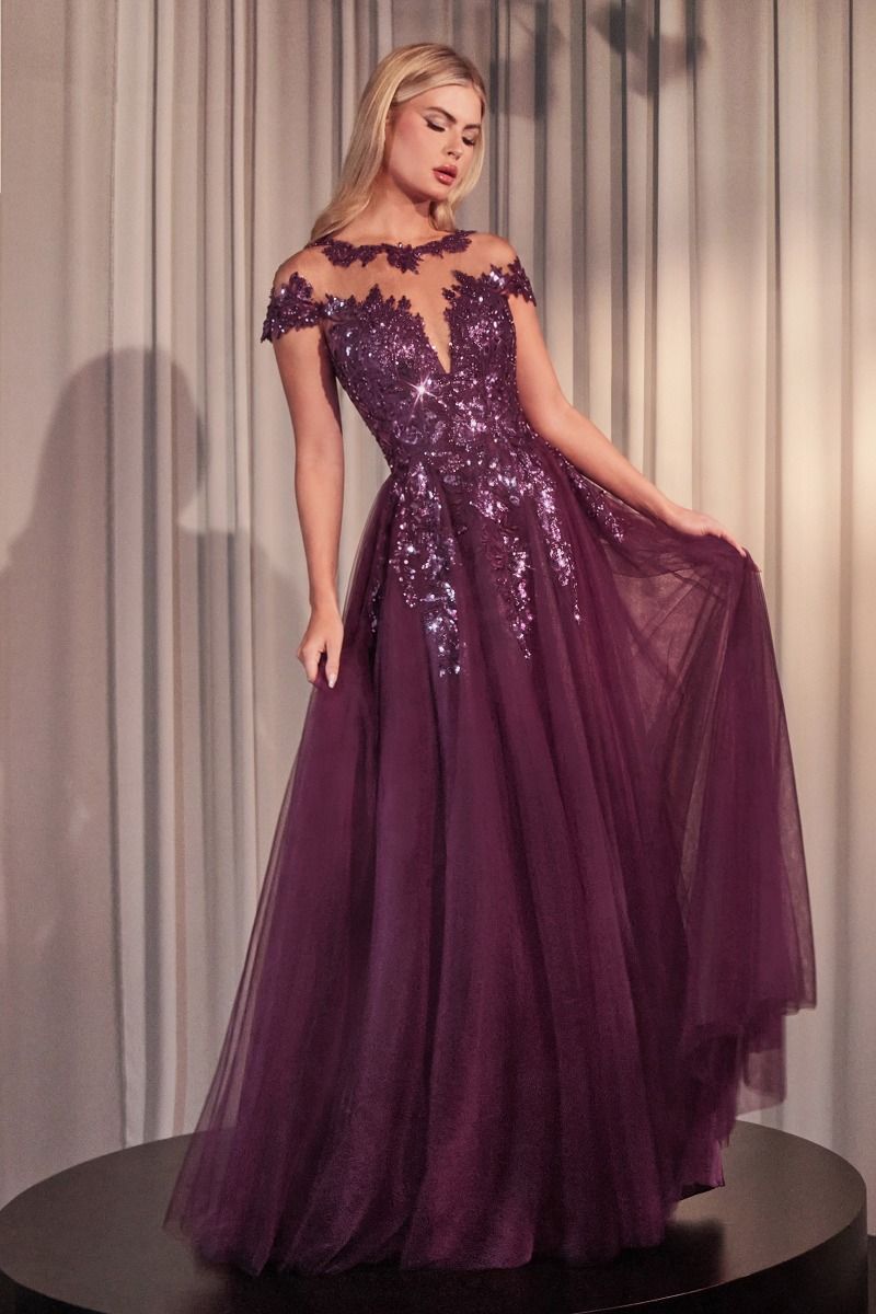Illusion Floor-Length Tulle Occasion Ball Gown Andrea & Leo A1475