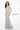 Formal Dresses Mermaid Long Lace Formal Evening Dress Platinum