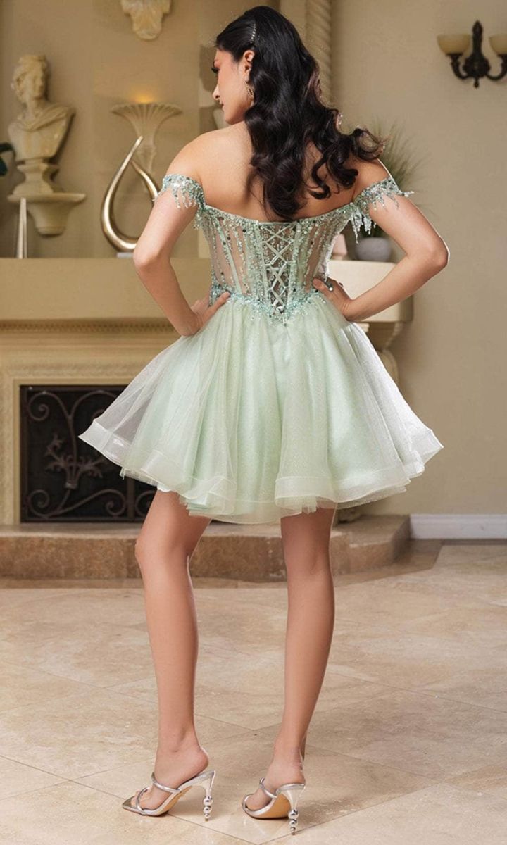 Off-the-Shoulder Mini/Short Tulle Cocktail A-Line May Queen 2129