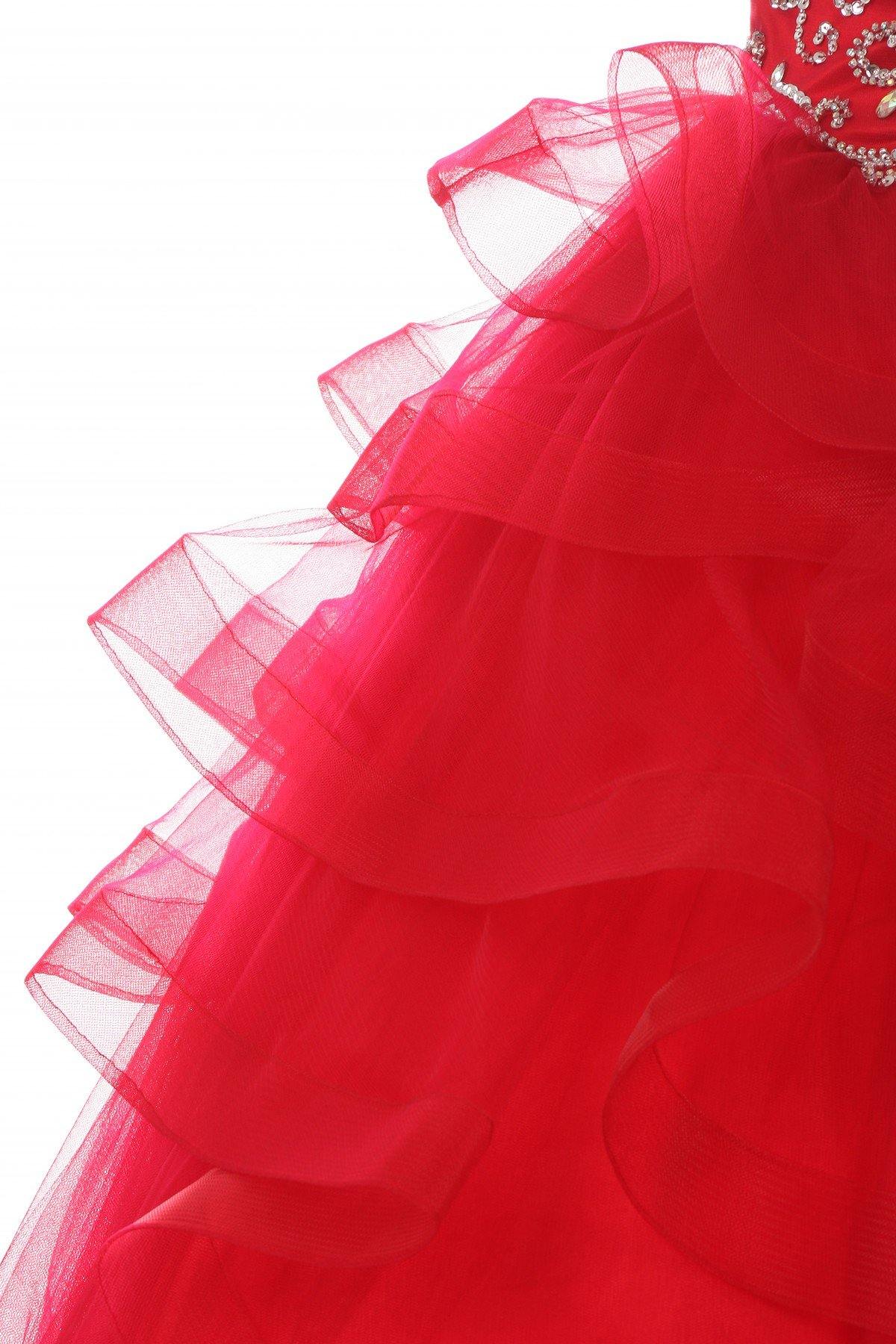Beaded Gown with Horsehair Layered Flower Girl Dress