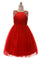 Beaded Velvet and Tulle Dress Flower Girl - The Dress Outlet Cinderella Couture