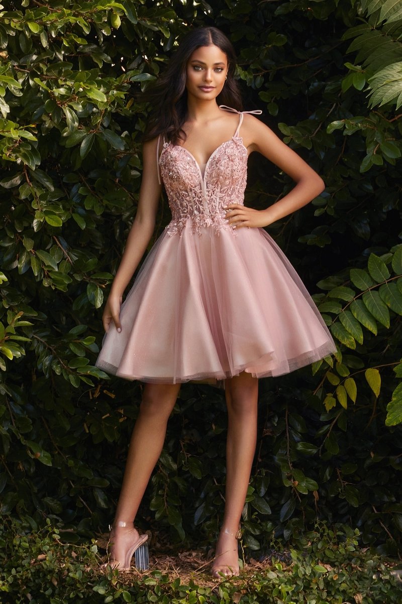 LaDivine CD0188 Embellished A Line Spaghetti Strap Short Prom Homecoming Dress