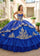 Quinceniera Dresses Glitter Ball Gown Long Quinceanera Dress  Royal Gold