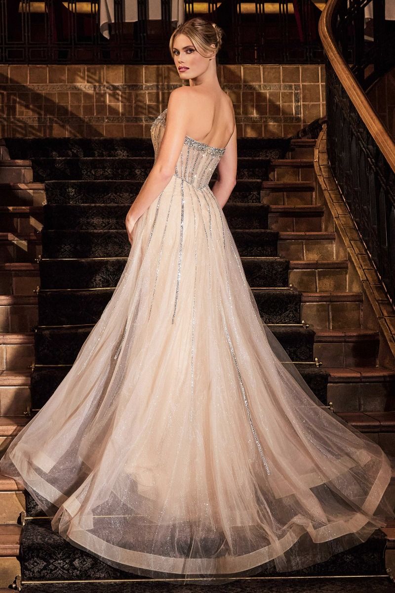 Prom Dresses Long Layered Overskirt Formal Prom Dress Silver Nude