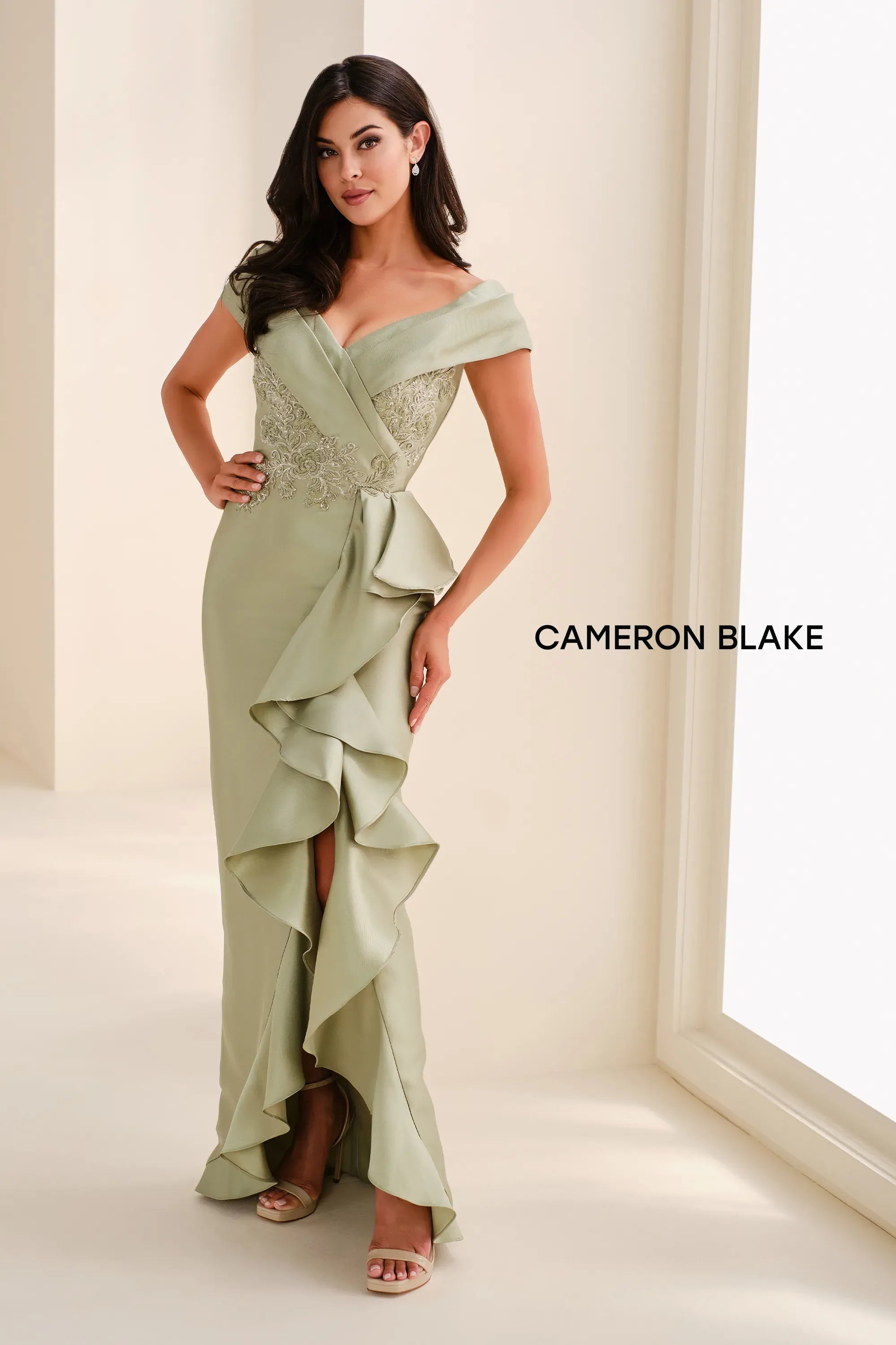 Formal Dresses Long Formal Beaded Lace Applique Evening Dress Apple Green