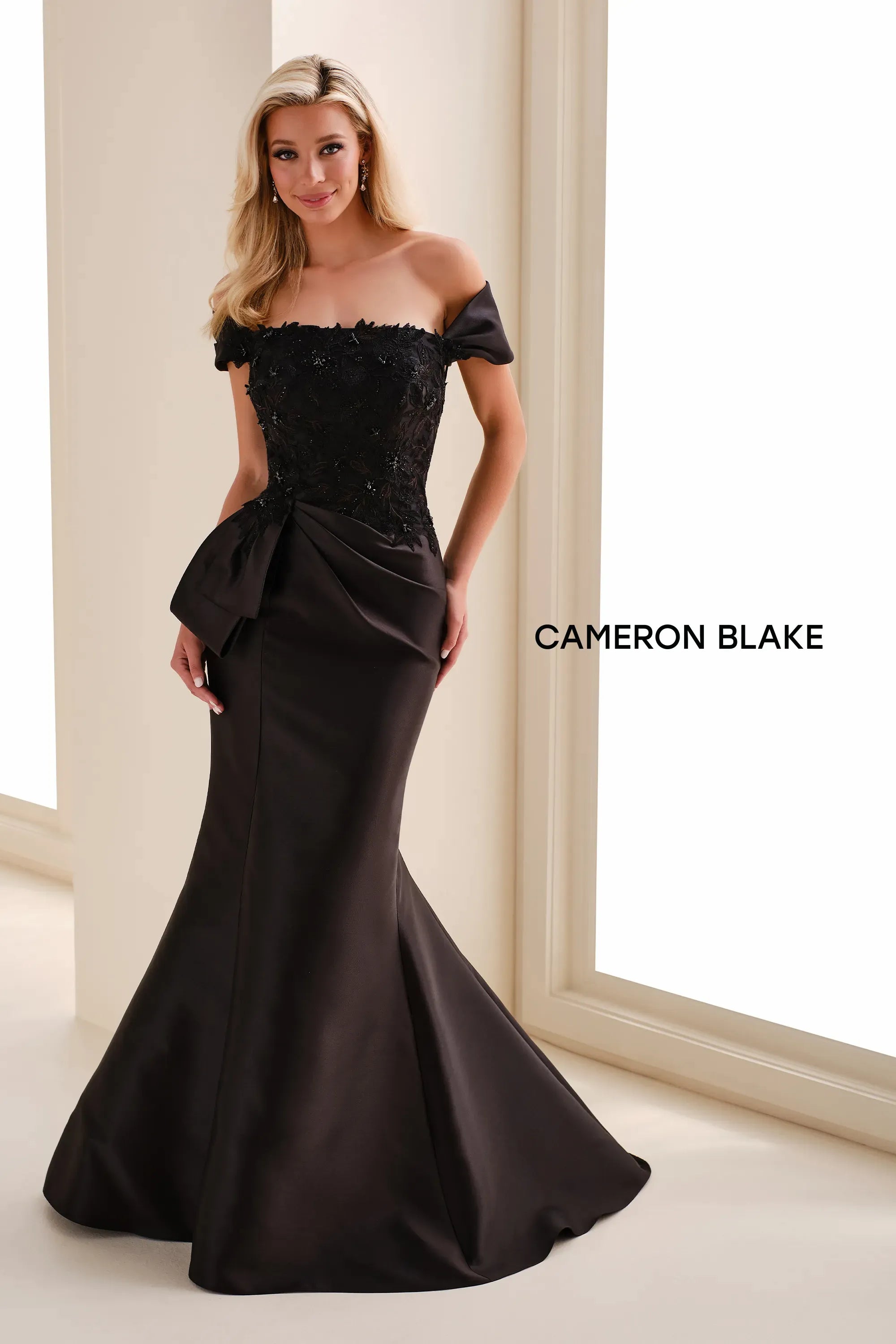 Formal Dresses Long Formal Mermaid Lace Applique Prom Dress Black