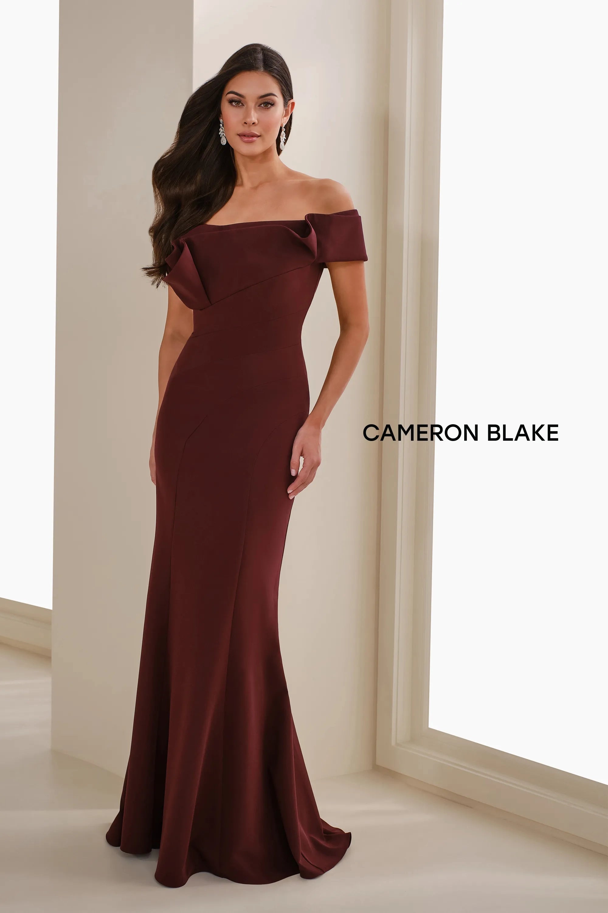 Formal Dresses Long Mermaid Formal Evening Dress Eggplant