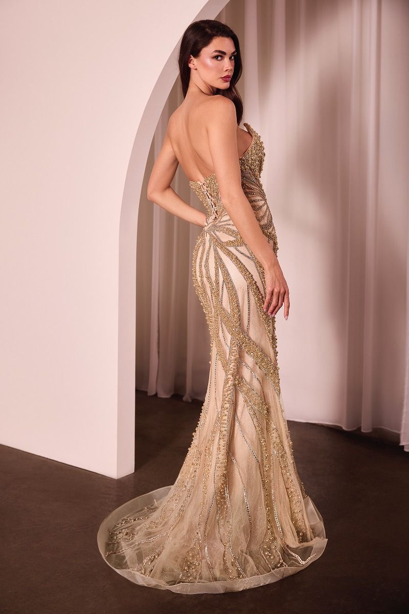 LaDivine CC0688 Fitted Formal Long Prom Dress