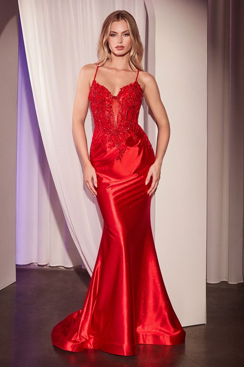 LaDivine CC2401 Long Fitted Formal Applique Prom Gown