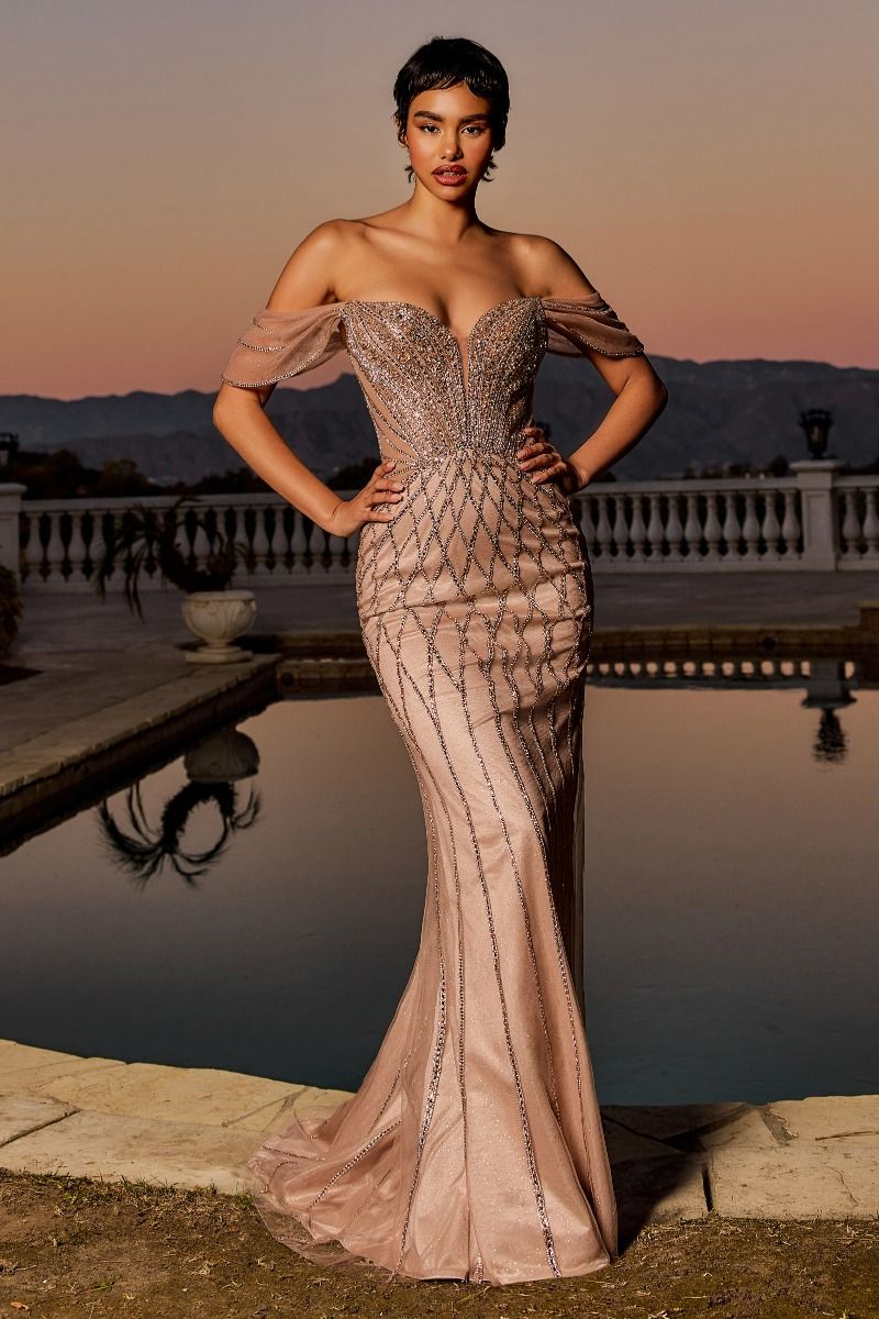 Prom Dresses Prom Beaded Long Formal Fitted Evening Gown Mocha Gold