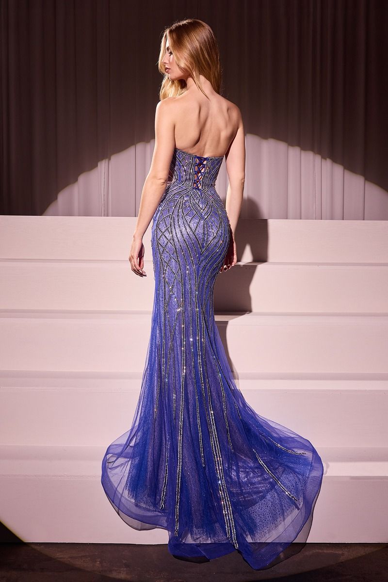 Prom Dresses Formal Glitter Prom Fitted Long Dress Royal