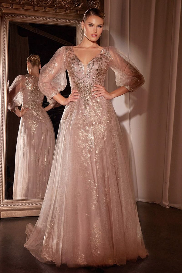 LaDivine CD0102 Modest Long Formal A Line Mother of the Bride Dress – The  Dress Outlet