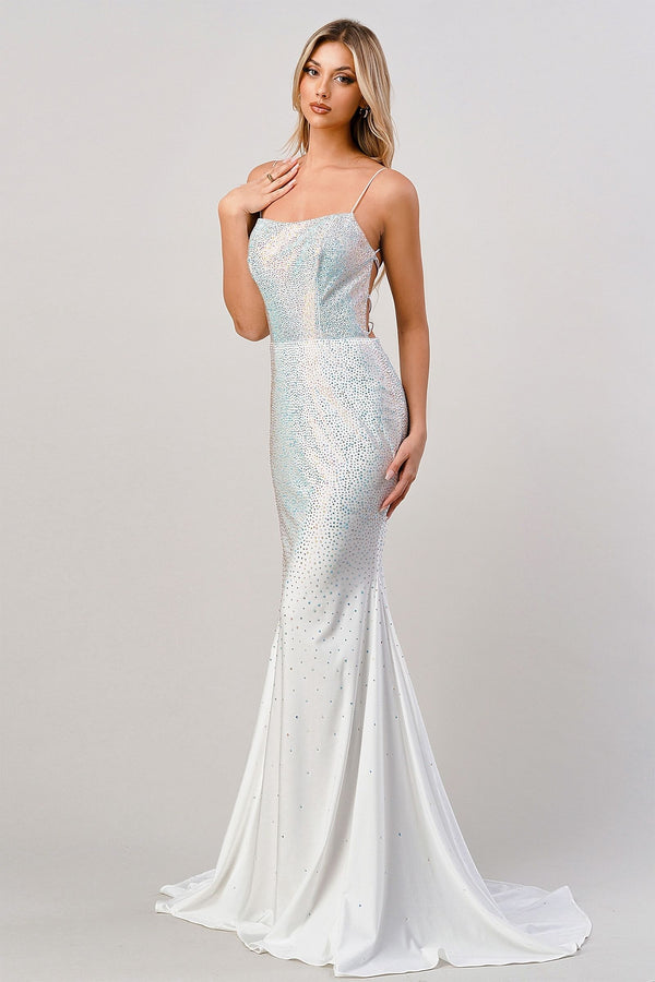 LaDivine CD0179 Lace Long Formal Fitted Evening Prom Dress