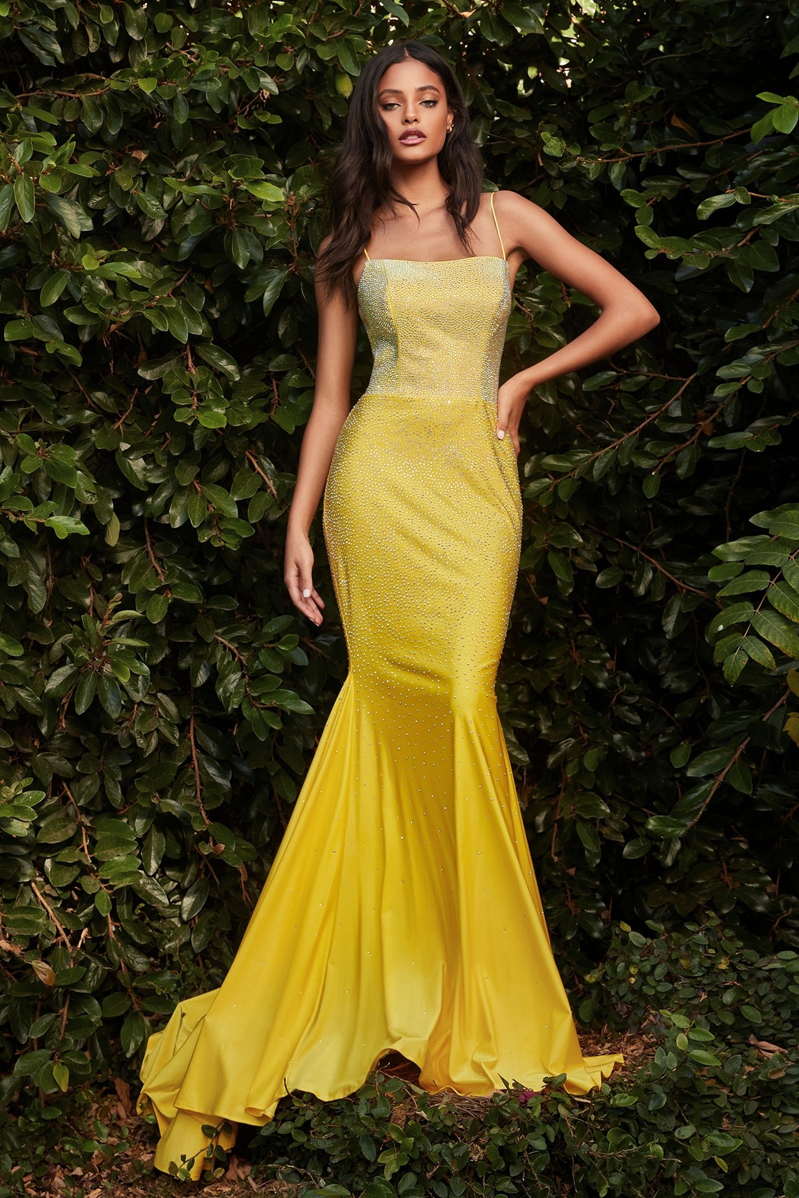 Prom Dresses Lace Long Formal Fitted Evening Prom Dress Yellow
