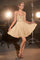Cocktail Dresses Glitter Beaded Cocktail Short Dress Champagne
