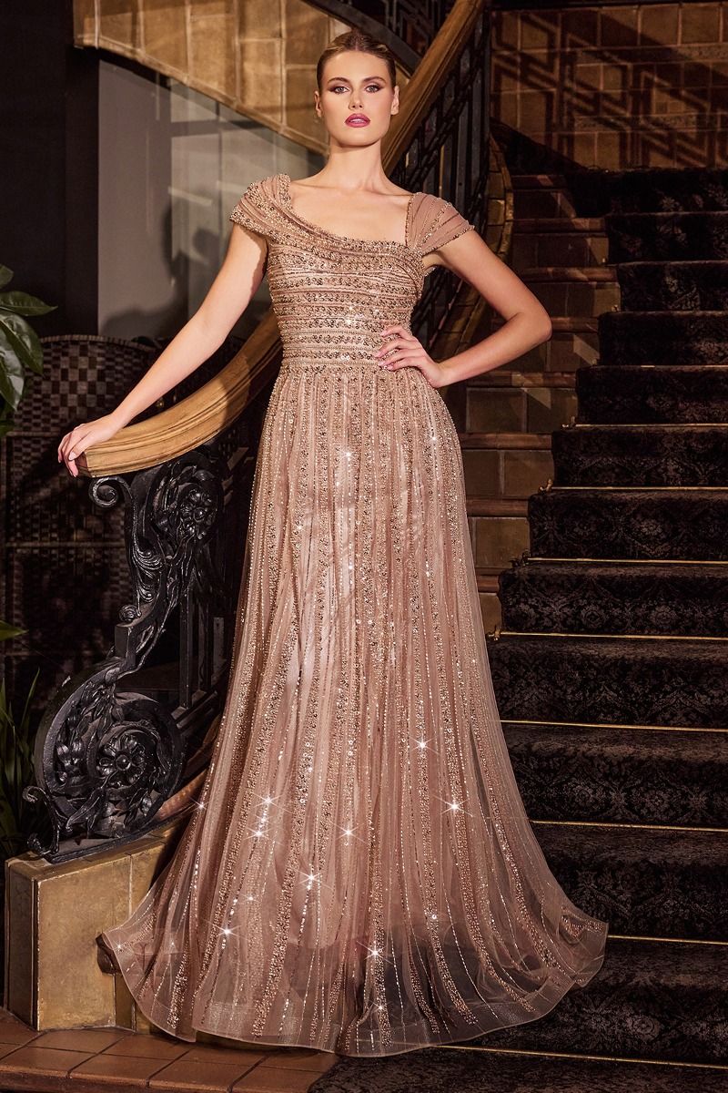 Ladivine CD0238 Fully Embellished Soft A-Line Gown with Cap Sleeves Silver-Nude / 18 Ladivine CD0238 Fully Embellished Soft A-Line Gown with Cap Sleeves Silver-Nude / 18
