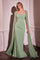Formal Dresses Long Fitted Evening Formal Dress Sage