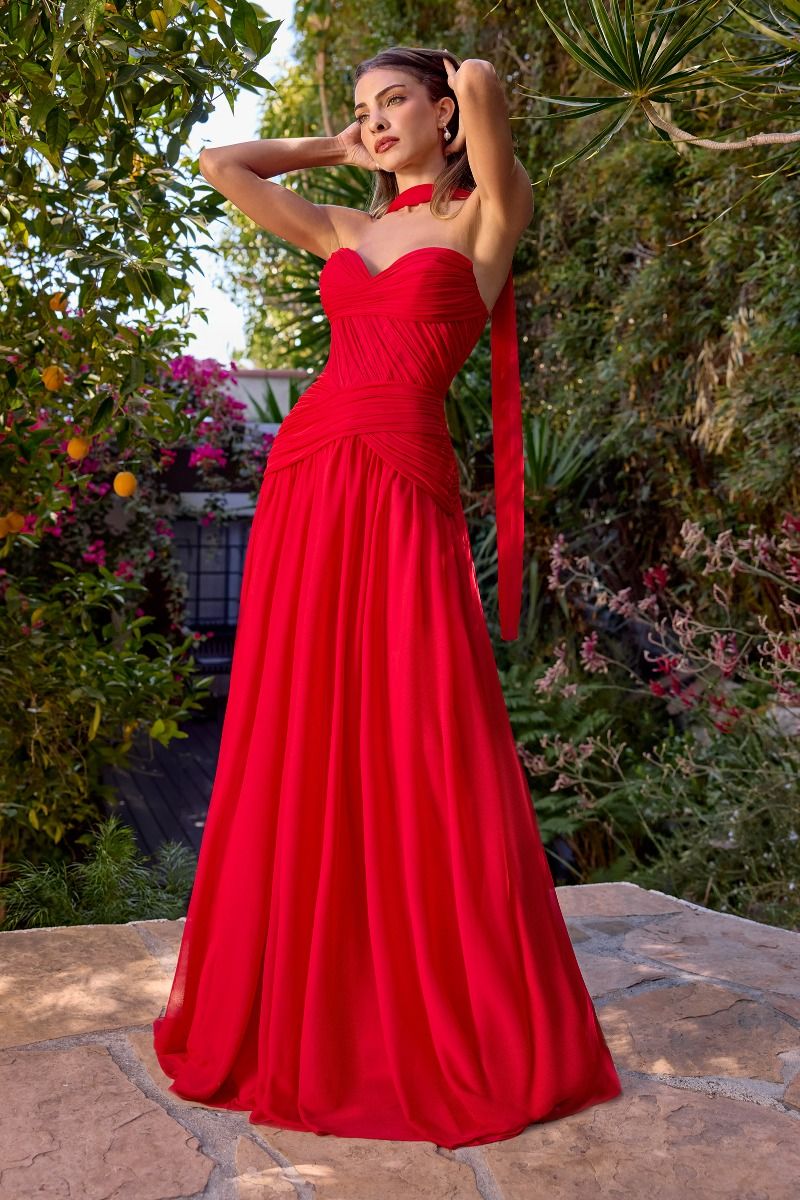 LaDivine CD395 Pleated Long Formal A Line Evening Prom Dress