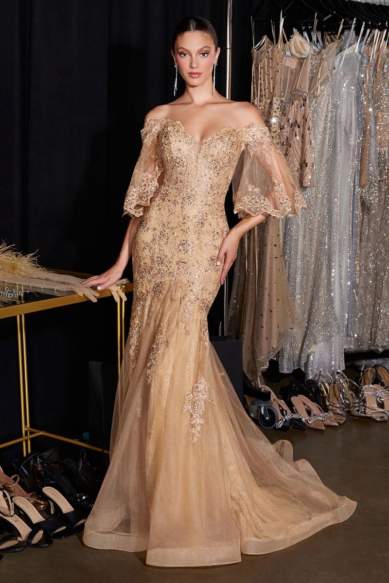Off-the-Shoulder Floor-Length Lace Formal Mermaid LaDivine 659