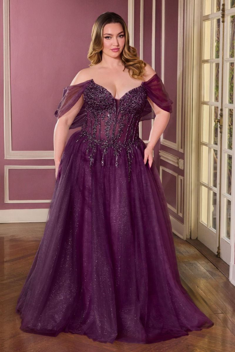 Plus Size Dresses Corset Beaded Formal Long A Line Plus Size Dress Eggplant