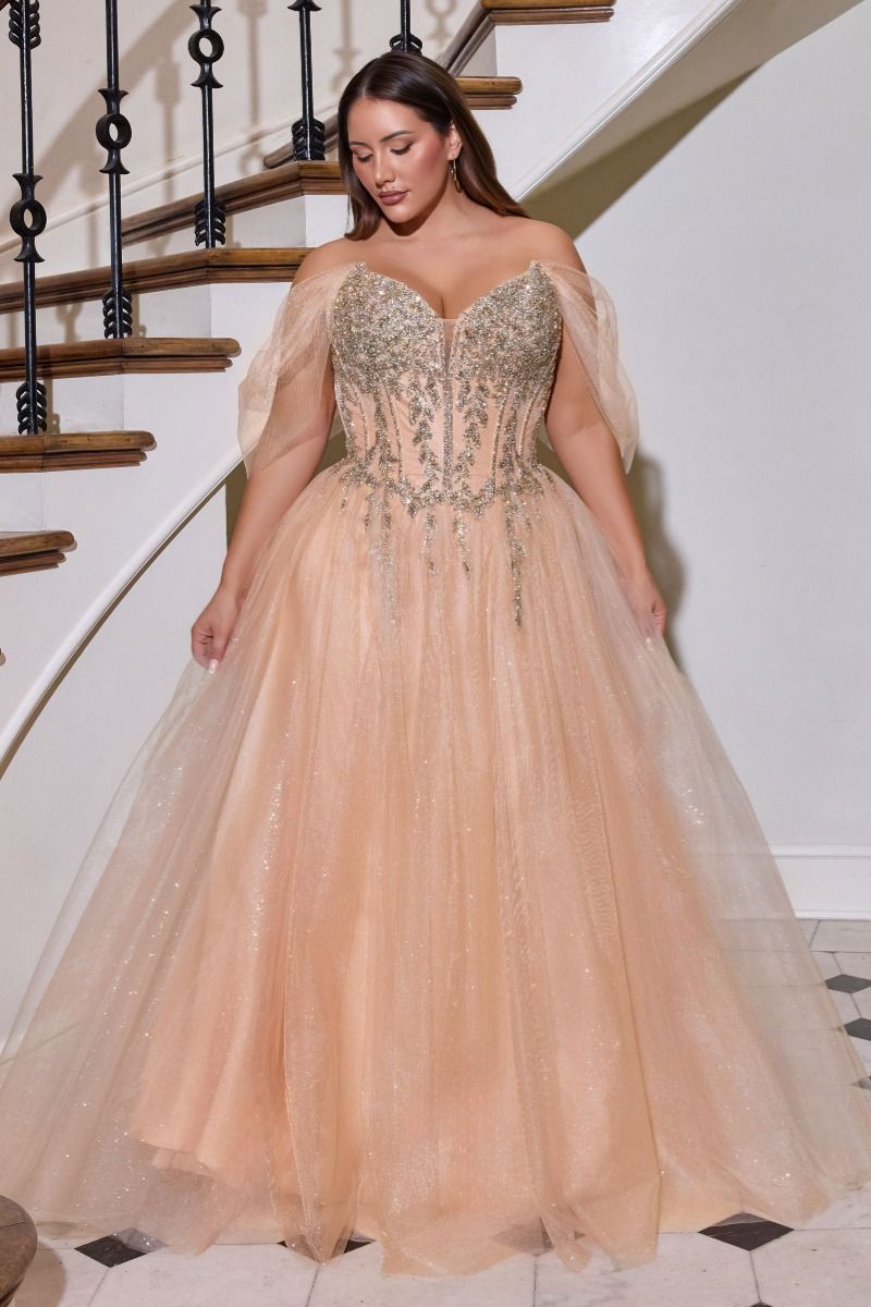 LaDivine CD721C Corset Beaded Formal Long A Line Plus Size Dress