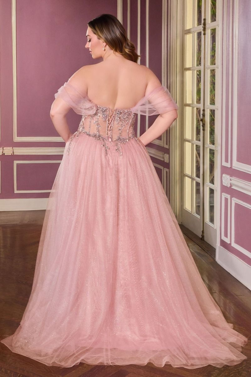 Plus Size Dresses Corset Beaded Formal Long A Line Plus Size Dress Mauve