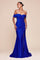 Prom Dresses Long Formal Fitted Evening Prom Dress Royal