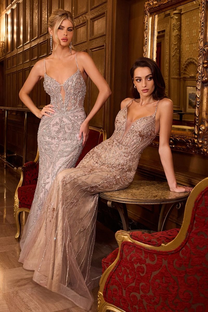 LaDivine CC0240 Mermaid Long Formal Prom Beaded Lace Dress