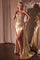 Prom Dresses Fitted Long Formal Prom Gown Gold