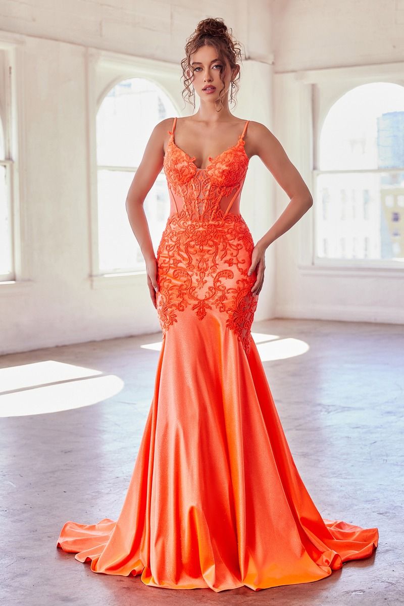 Prom Dresses Mermaid Prom Fitted Long  Dress Neon Orange