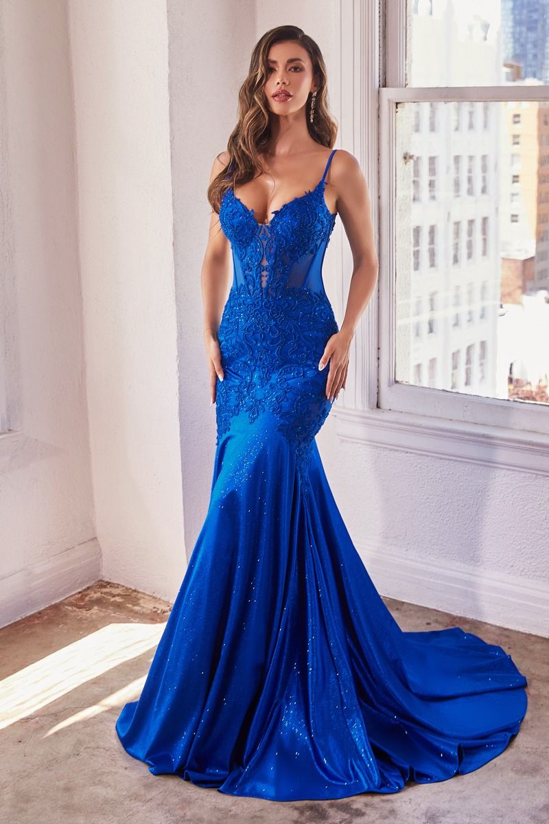 Prom Dresses Mermaid Prom Fitted Long Dress Royal