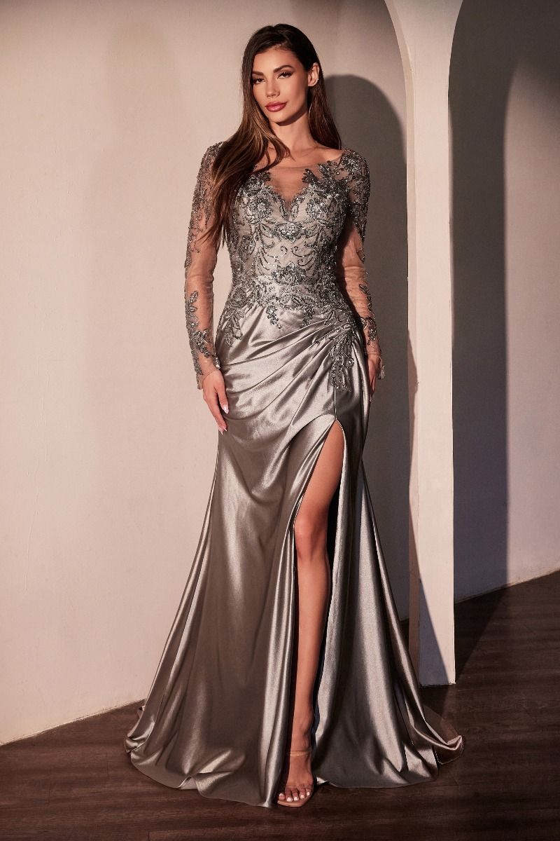 Mother of the Bride Dresses Long Sleeve Mother of the Bride Formal Dress Graphite Silver